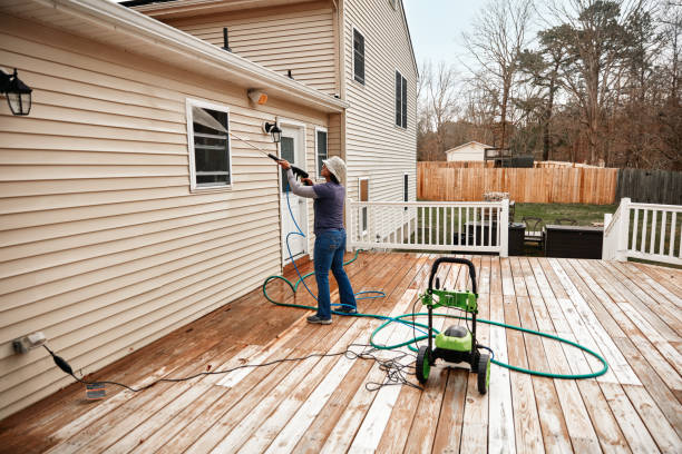 Best Affordable Pressure Washing  in Meridian, MS