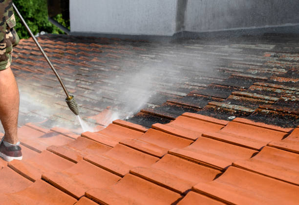 Best Residential Pressure Washing Services  in Meridian, MS