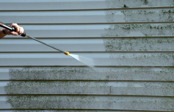 Best Roof Power Washing Services  in Meridian, MS