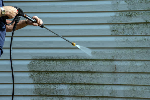 Best Affordable Power Washing  in Meridian, MS