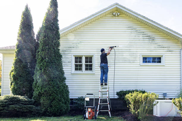 Best Commercial Building Pressure Washing  in Meridian, MS